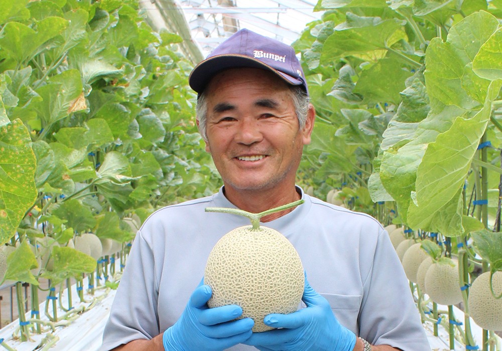 白久農園のマスクメロン２玉（約1.5kg×2玉） - 千葉県富津市｜ふるさとチョイス - ふるさと納税サイト