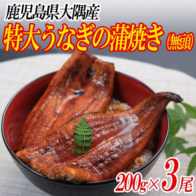 B2-0807/鹿児島県産特大うなぎの蒲焼き(無頭)200g×3尾
