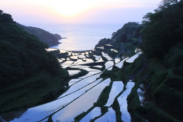 写真