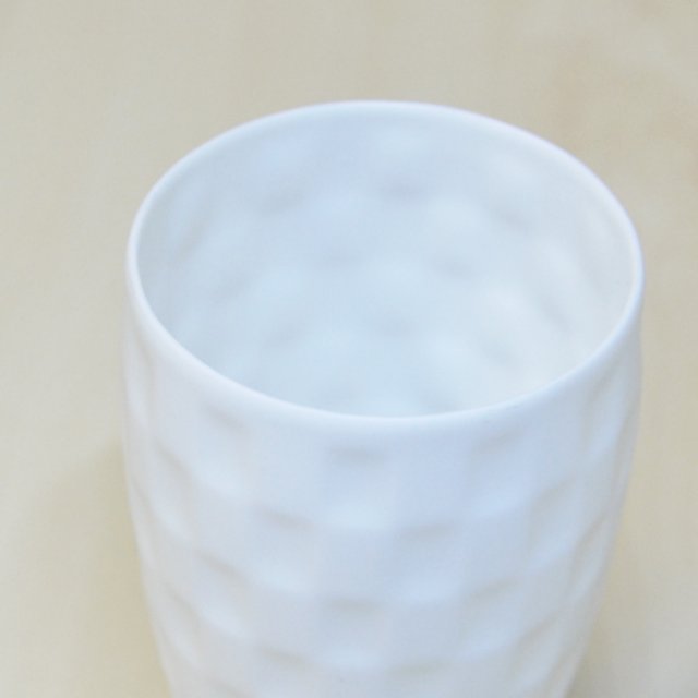 チェックレリーフ 拡大