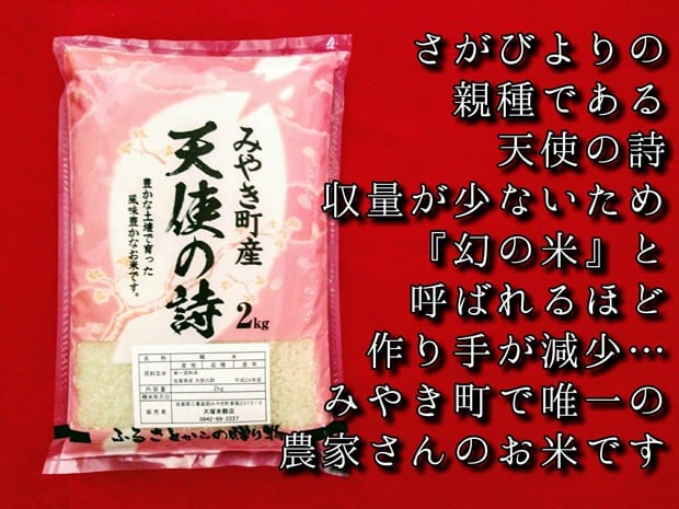 天使の詩