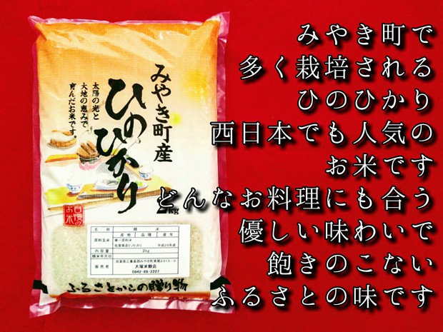 ヒノヒカリ