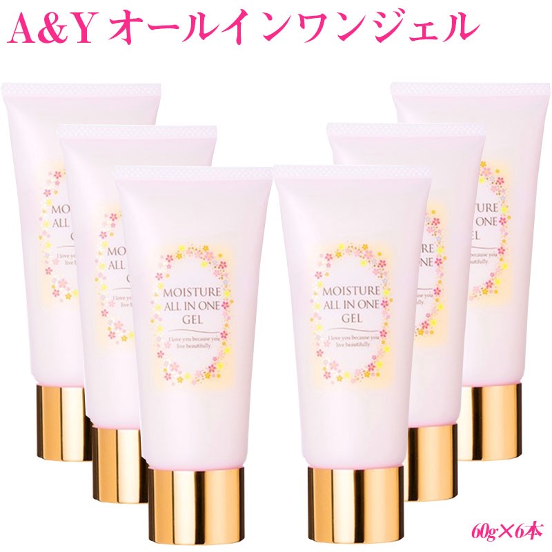 B2-3027/A&Y オールインワンジェル 60g×6本
