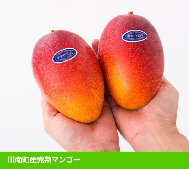 令和６年発送】宮崎県産完熟マンゴー「果実の宝石」２Ｌ×２玉【果物