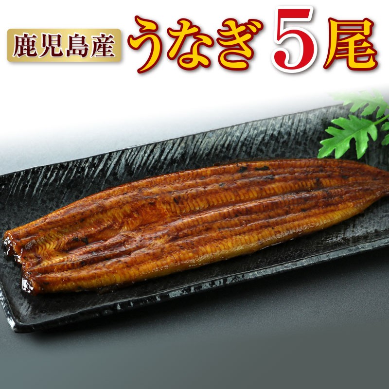 C3-2227/鹿児島産 特上うなぎ155g×5尾!