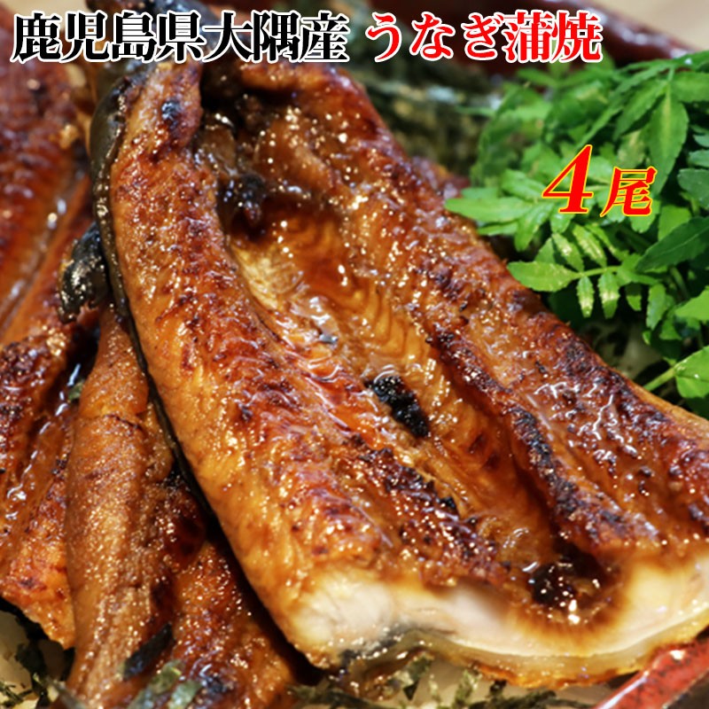 【大隅うなぎ】漁協だからできる!養鰻業者から直仕入大判蒲焼4尾