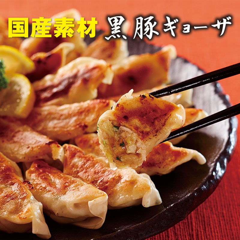 A1-2218/すべて国産!黒豚ギョーザ10パック