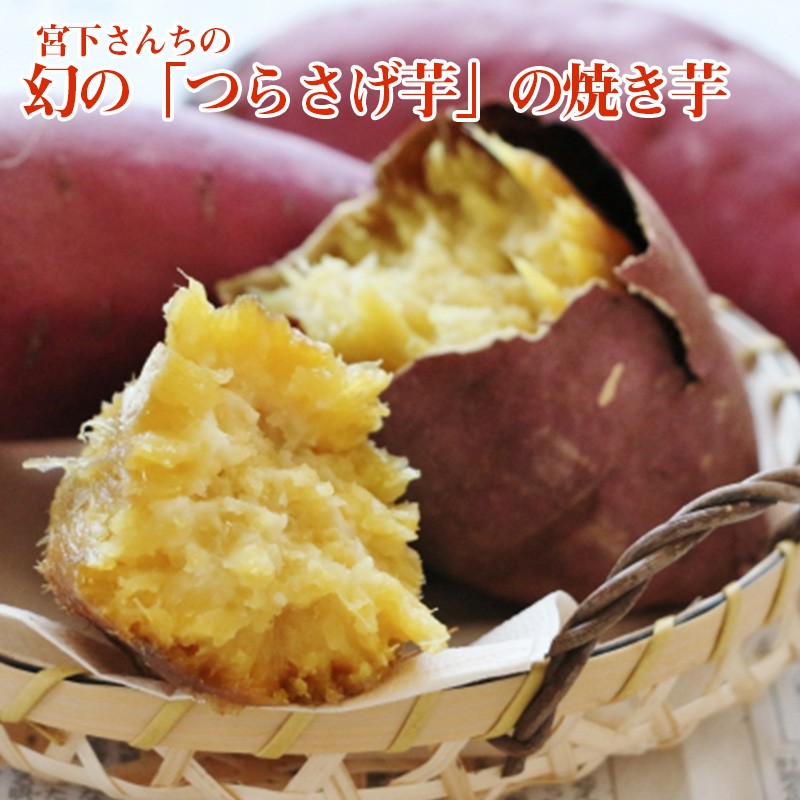 B2-2105/宮下さんちの【幻のつらさげ芋】の焼き芋