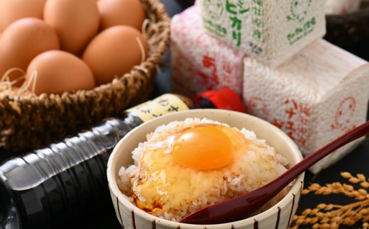 坂井市産極上たまごかけご飯セット ~坂井平野の恵み~