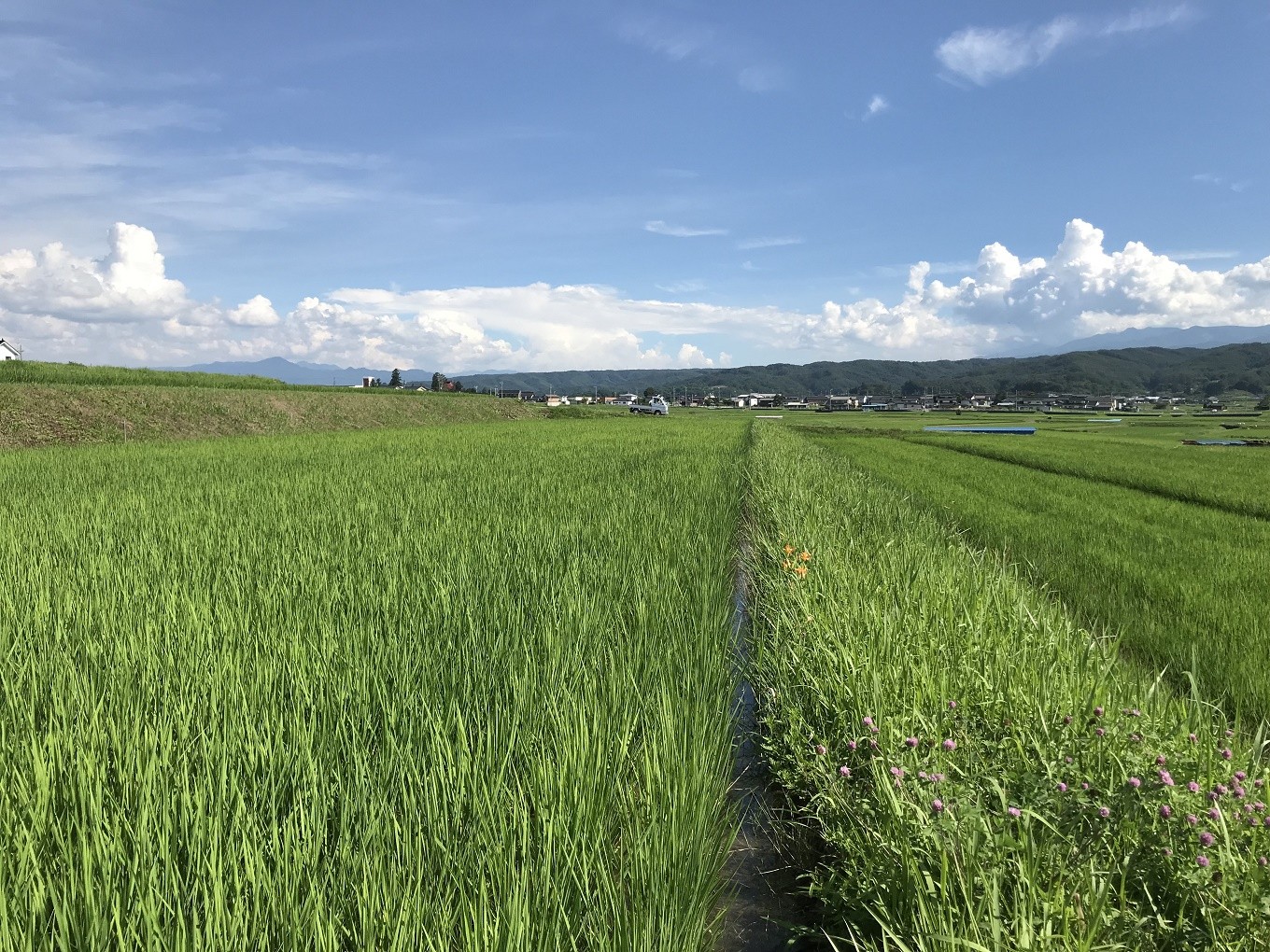 7月