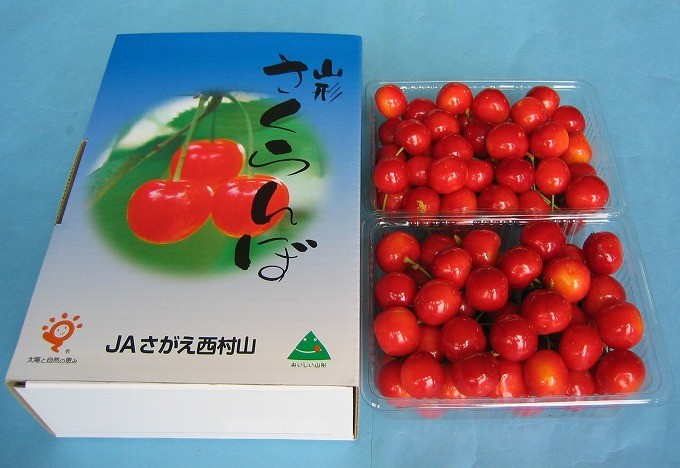 たっぷり1kg!本場山形のプレミアムさくらんぼ紅秀峰