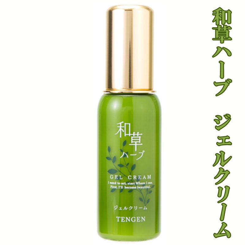B2-3030/和草ハーブ ジェルクリーム50ml×1本