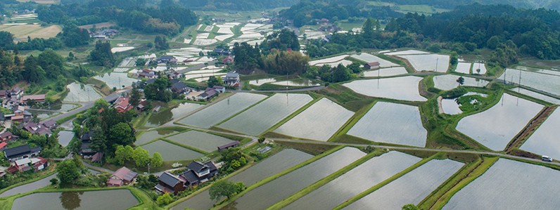 棚田の景観