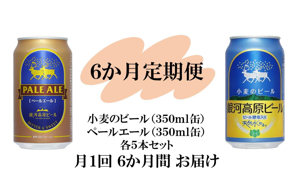 銀河高原ビール 二種のビールセット 6か月 定期便