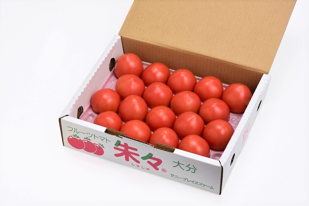 写真のサイズは「Mサイズ」です。