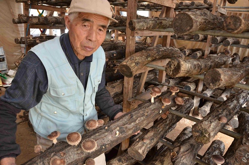 生産者「岡田 輝雄」さん