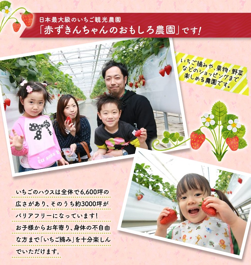 静岡の品種「紅ほっぺ」です♪