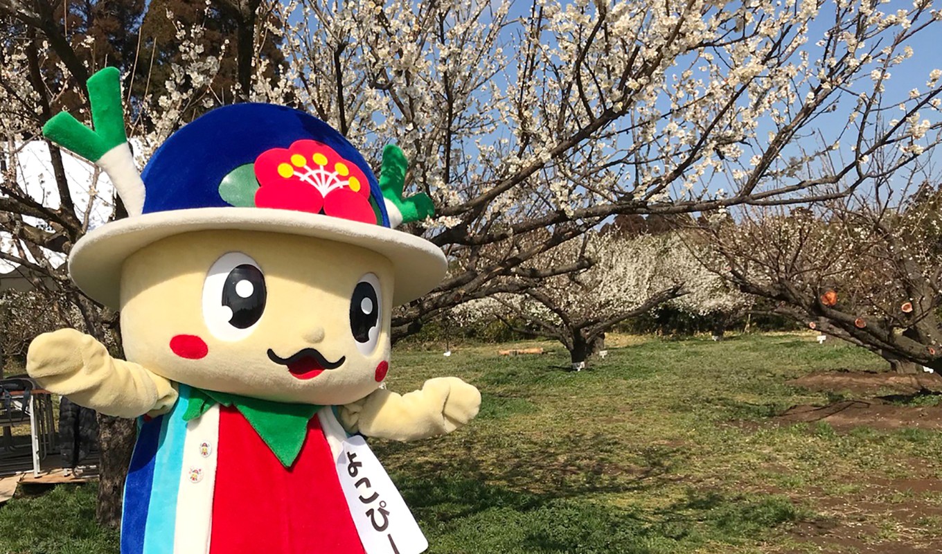 横芝光町のキャラクター「よこぴー」も、梅の魅力をアピール!