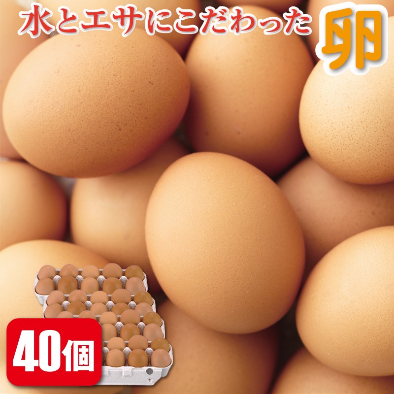 A1-2299/温泉水とこだわりのエサで育てた鶏のおいしい卵