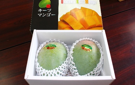 キーツマンゴー1.5kg(2~3玉)※玉数は選べません。