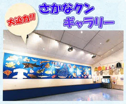 渚の博物館内1階に「さかなクンギャラリー」を開設。