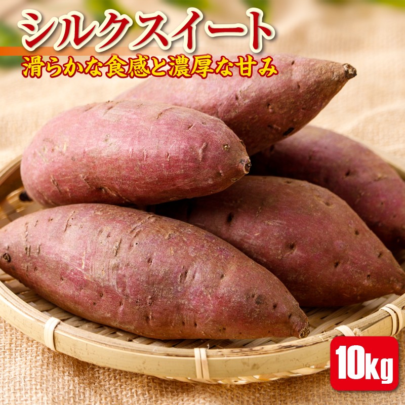 A1-22100/しっとり甘~い!シルクスイート10kg