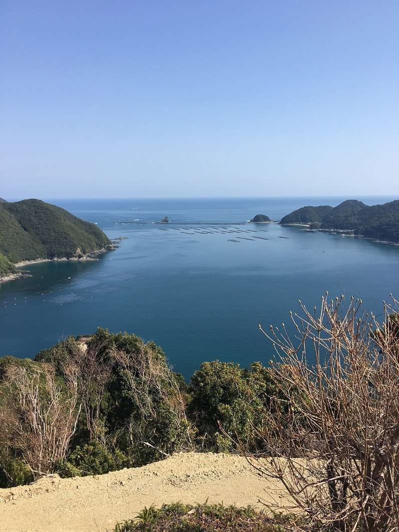 写真
