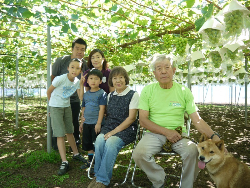 写真