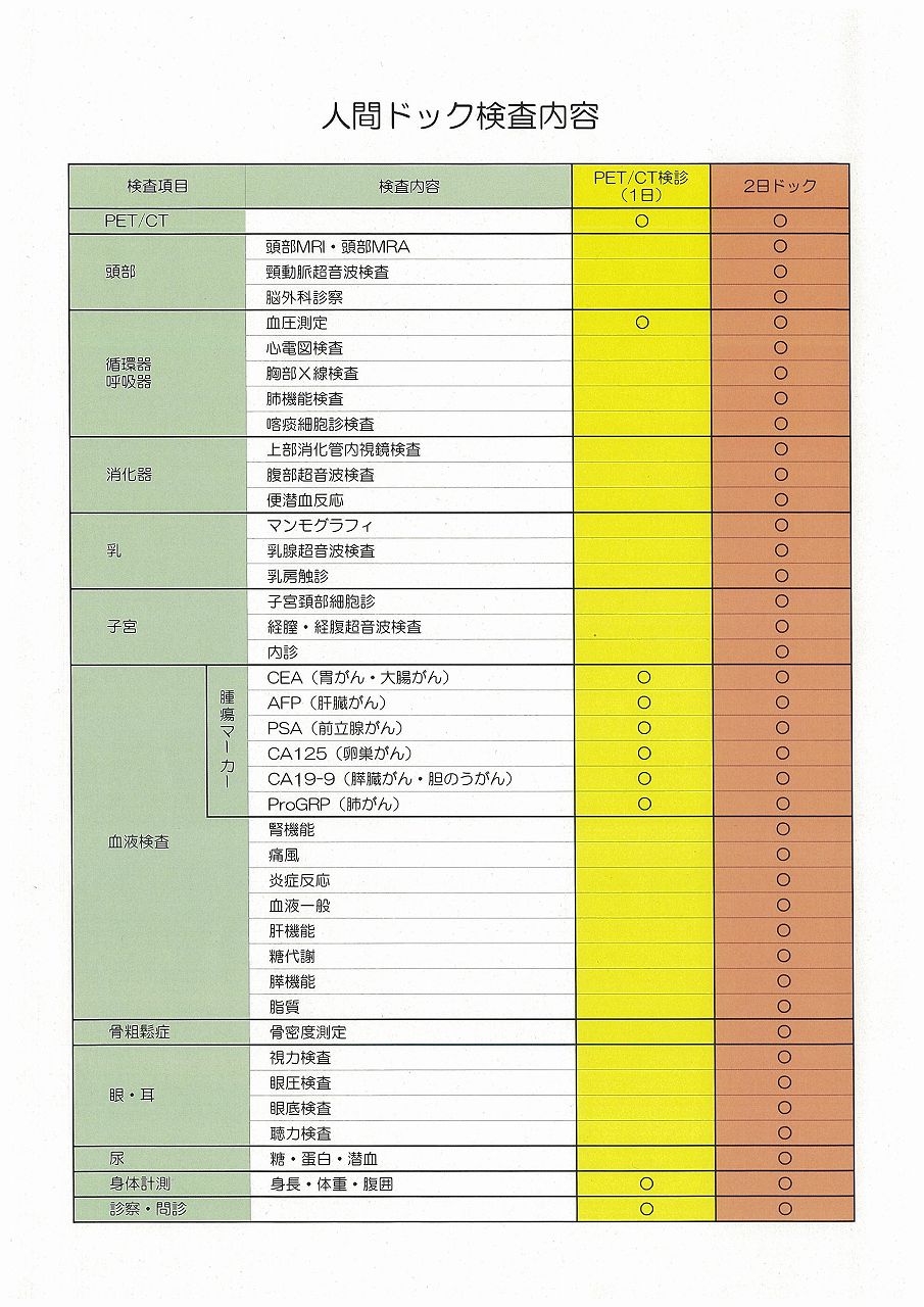 検査内容
