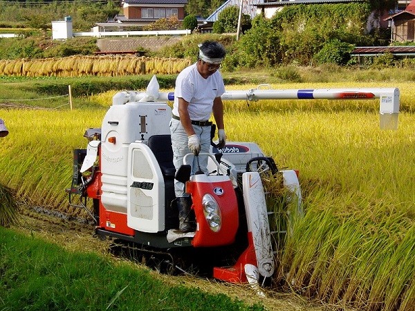 関口さんちの米物語