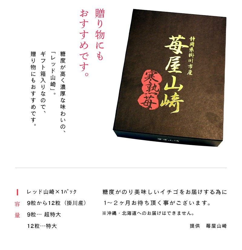 莓屋山崎「レッド山崎」のイチゴ。是非、お召し上がり下さい♪