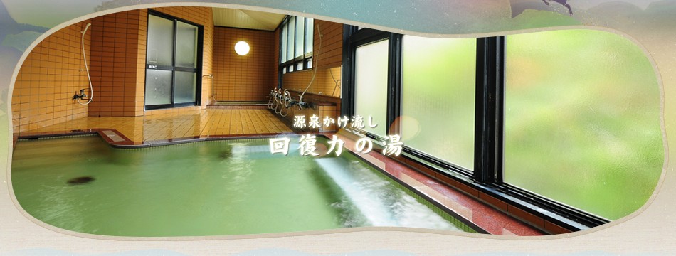 源泉かけ流し 回復力の湯