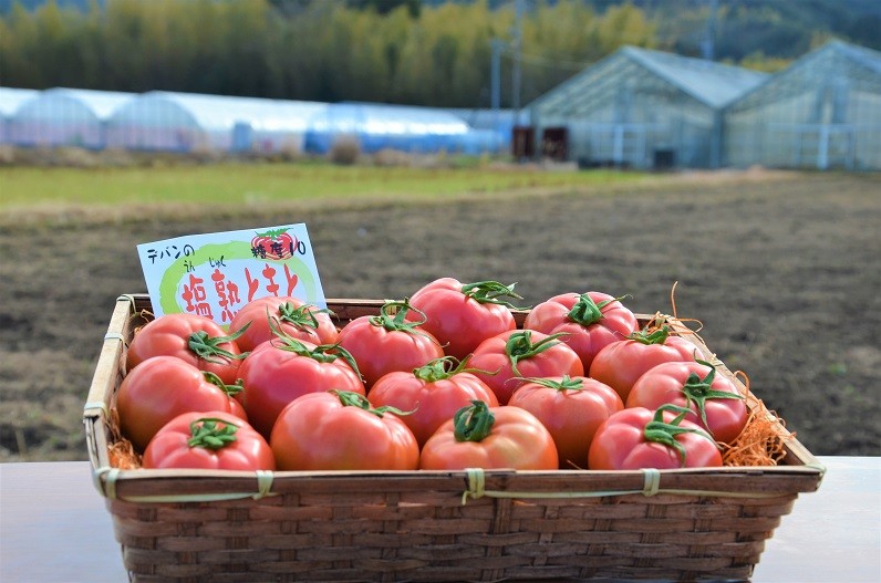 写真