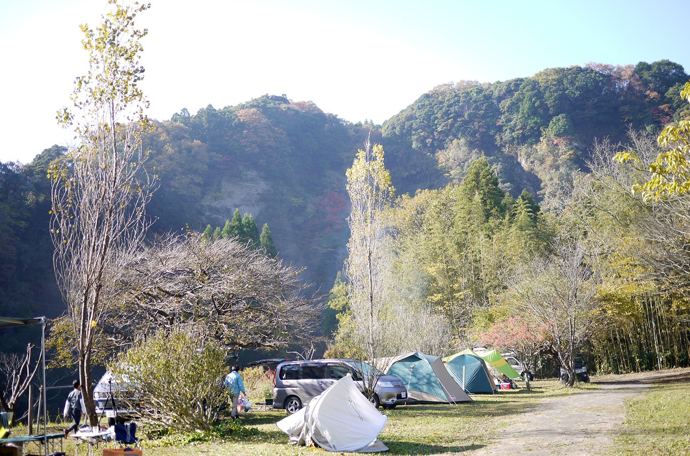 写真