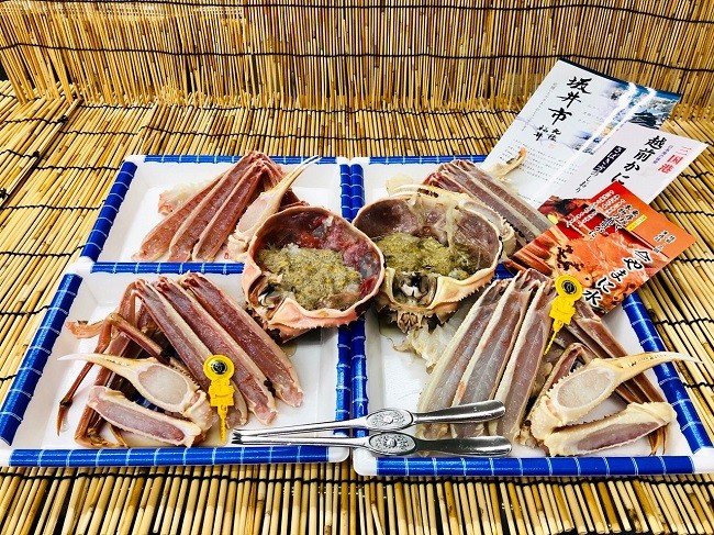 写真
