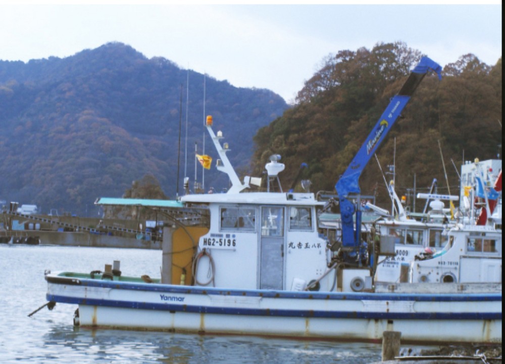 写真