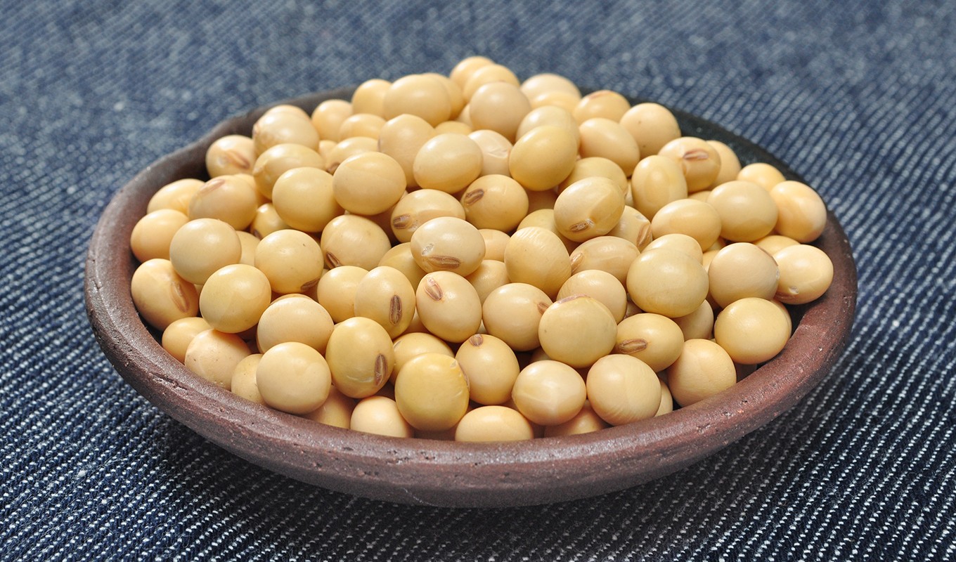 味噌や豆乳作り、煮豆や酢大豆、ポークビーンズなどに大活躍!