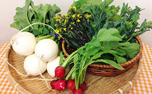 立川産野菜