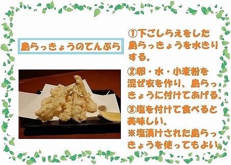 島らっきょう 500g 沖縄県宮古島市 ふるさと納税 ふるさとチョイス