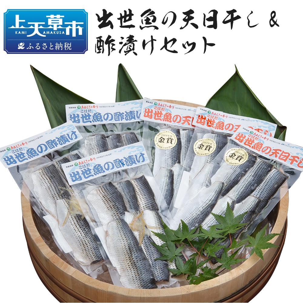 出世魚 こはだ の天日干し 酢漬けセット 熊本県上天草市 ふるさと納税 ふるさとチョイス