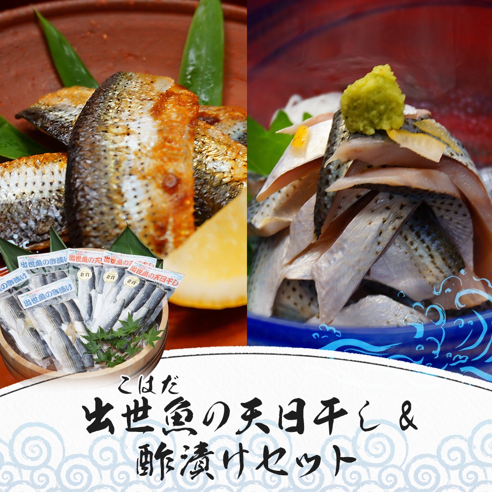 出世魚 こはだ の天日干し 酢漬けセット 熊本県上天草市 ふるさと納税 ふるさとチョイス