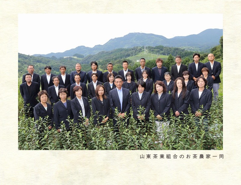 山東茶業組合の茶畑です。山東のお茶は「静岡の茶草場農法」です。