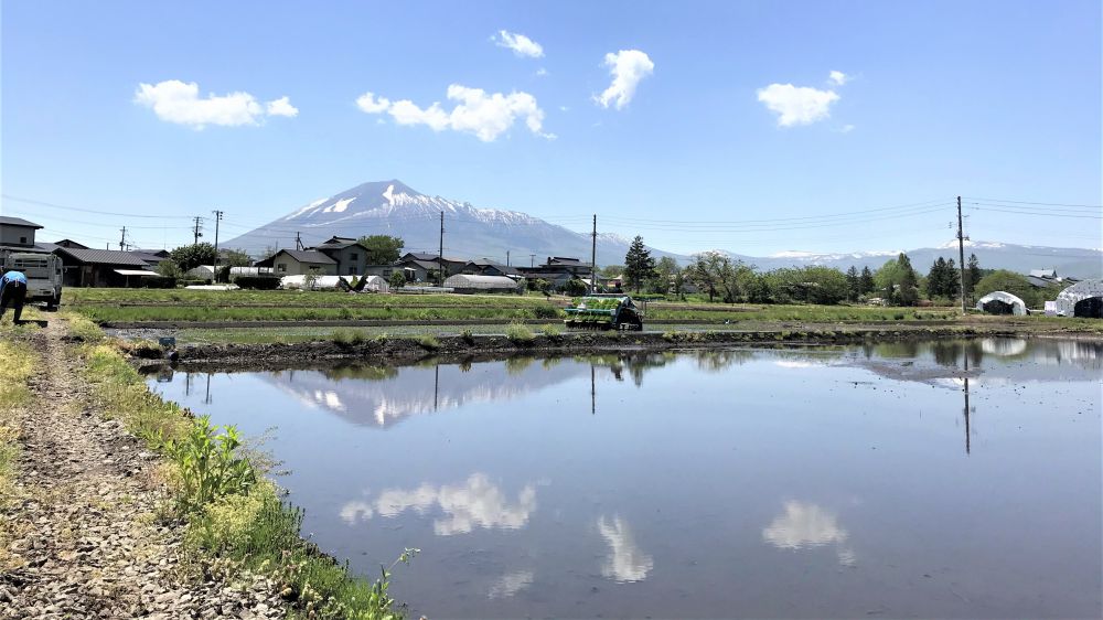 写真