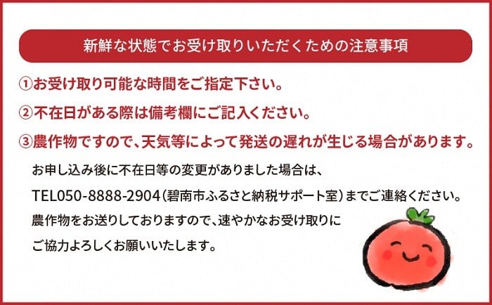 先行受付 11月 6月毎月発送 幻のミニトマト トマトベリーの定期便 8回コース 限定50セット H004 030 愛知県碧南市 ふるさと納税 ふるさとチョイス