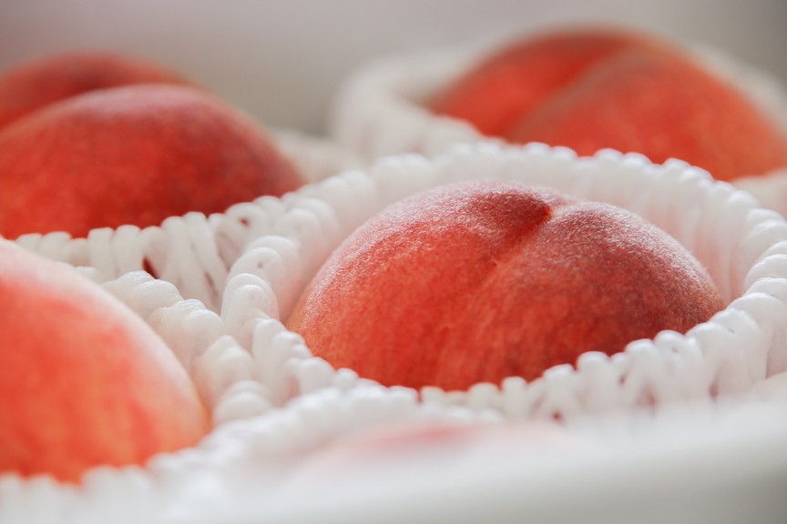 白鳳系の桃は肉質は良く、とろける果汁が魅力です
