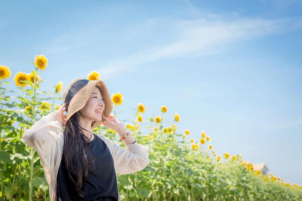 写真