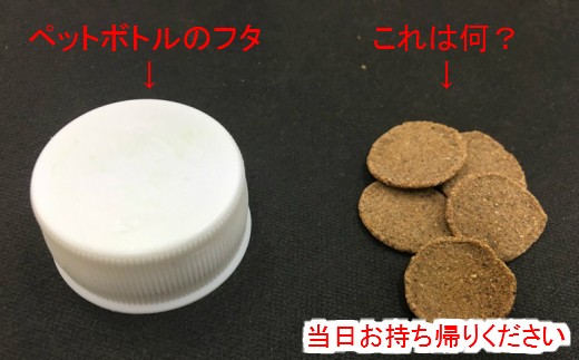左はペットボトルのフタです。大きさを比較して右のはなんでしょうか?