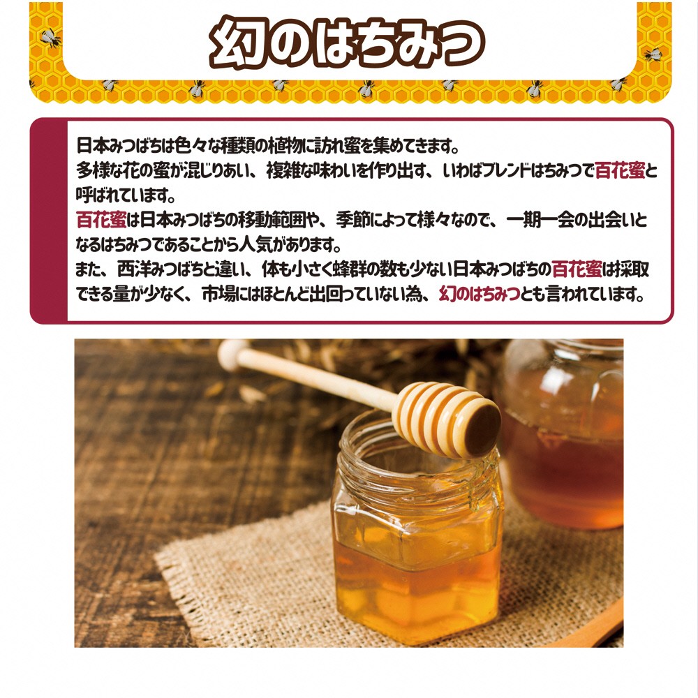 日本蜜蜂 西洋蜜蜂はちみつ 詰合せ 福岡県北九州市 ふるさと納税 ふるさとチョイス