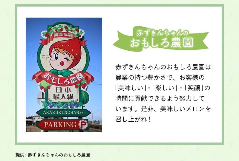 １１７６ 赤ずきんちゃんのおもしろ農園 掛川産マスクメロン1 5kg以上 2玉 収穫は6月上旬です 順次発送します 静岡県掛川市 ふるさと納税 ふるさとチョイス