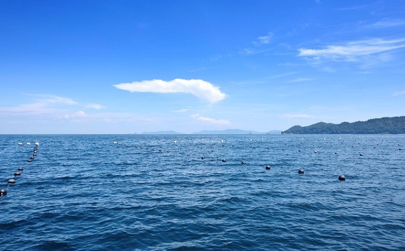 真珠養殖には絶好の環境に恵まれている佐伯湾